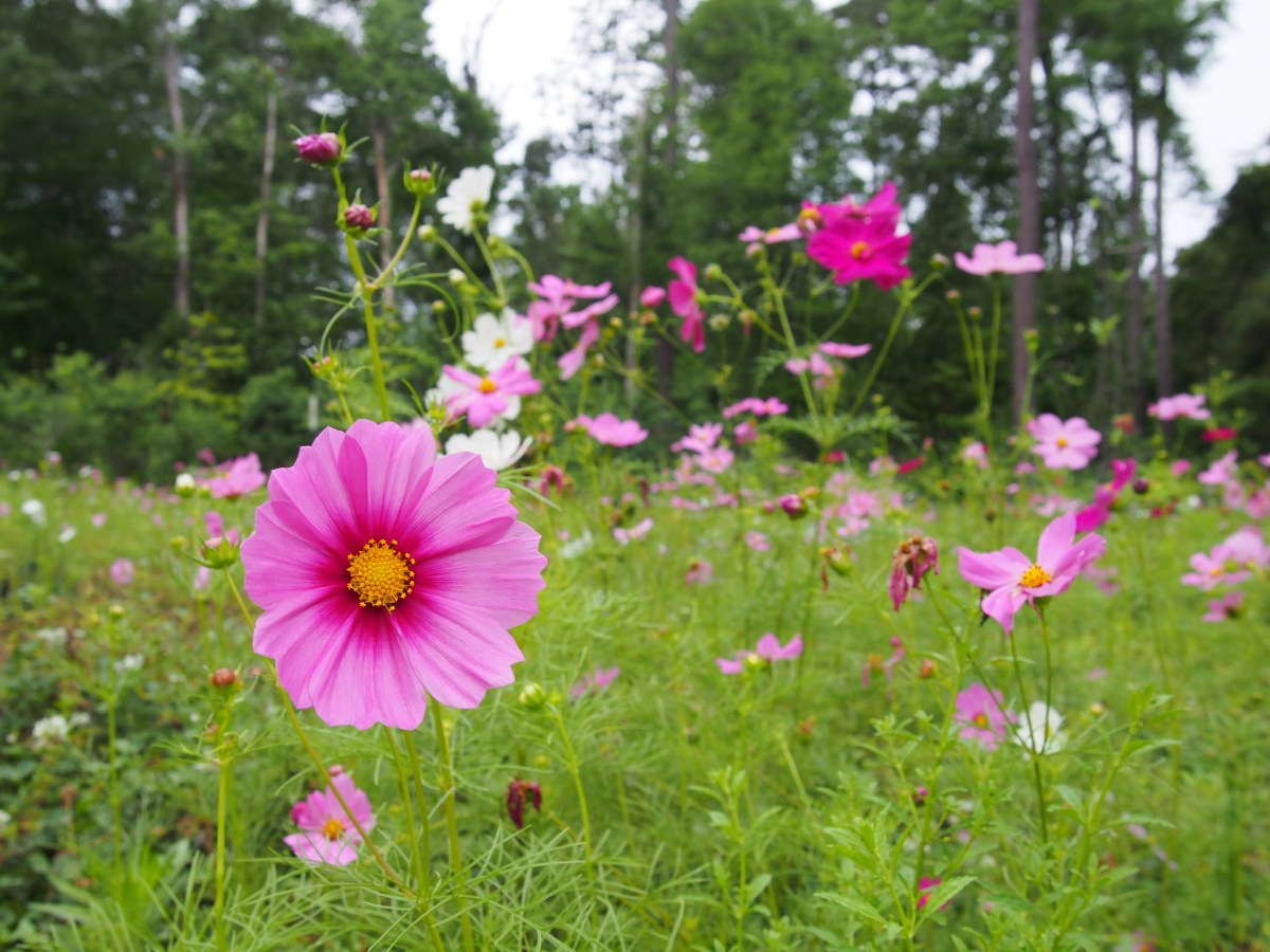 Farm Newsletter May&nbsp;2026